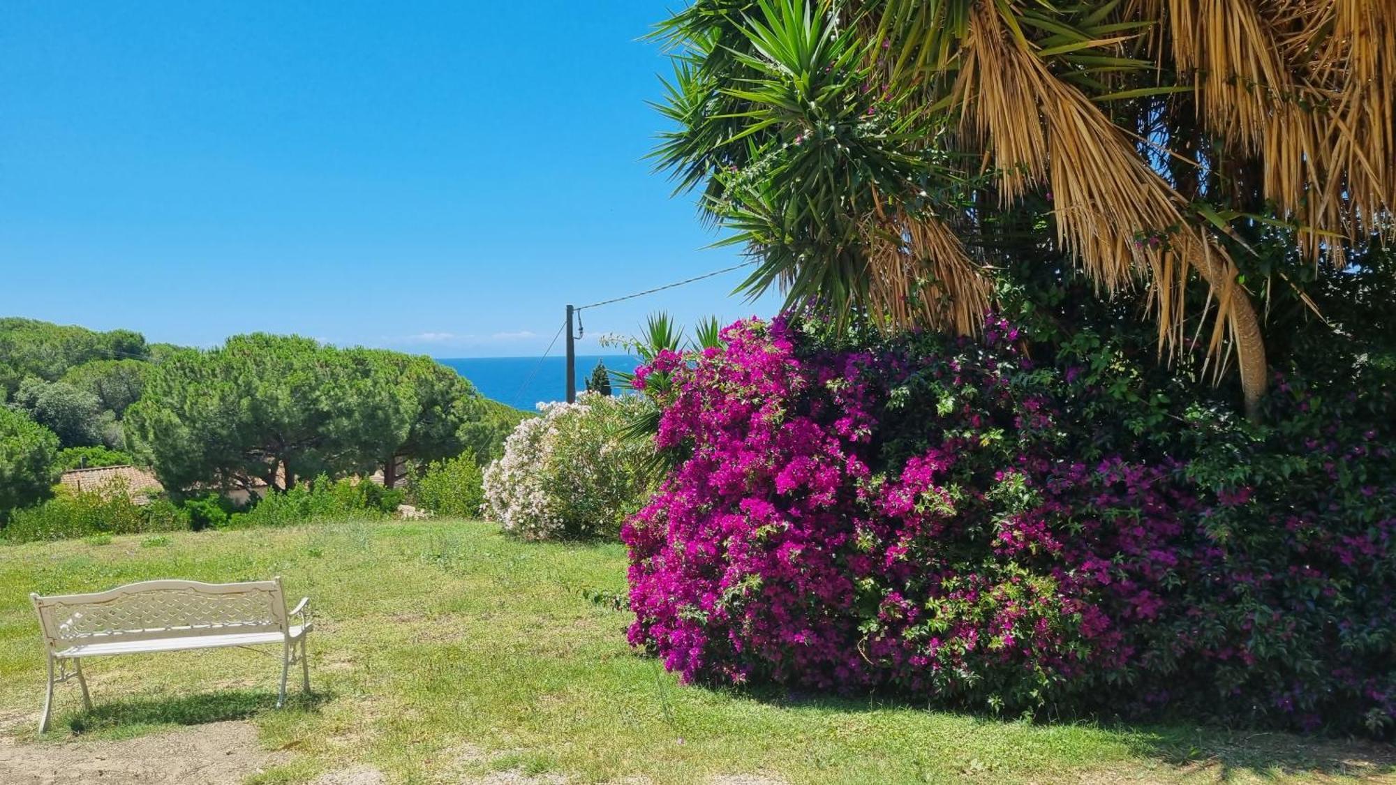 Appartamenti La Conchiglia Capoliveri  Exterior foto